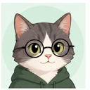 Yongtao Zhao cartoon cat avatar